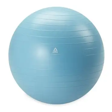 Reebok Stability Ball